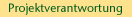 Projektverantwortung